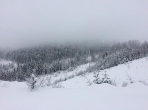  Коттедж у Михайла  Славское